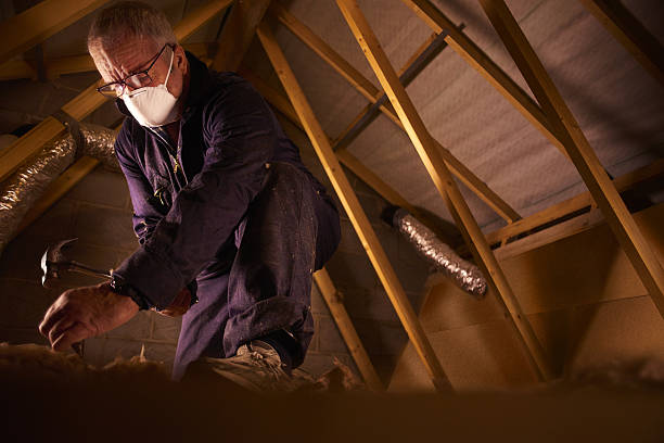 Best Geographic-Specific Insulation Services in Lake Clarke Shores, FL