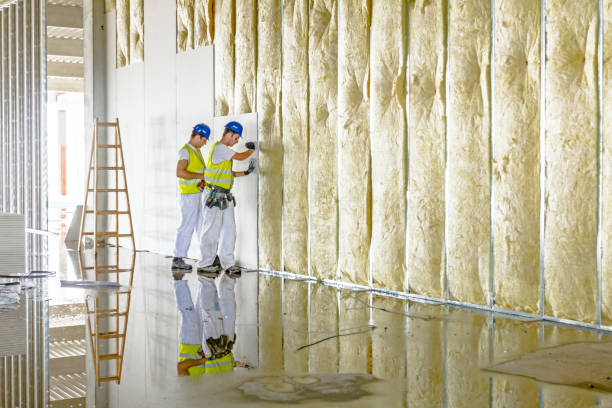 Best Specialized Insulation Services in Lake Clarke Shores, FL